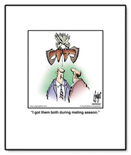 Load image into Gallery viewer, I got them both during mating season.