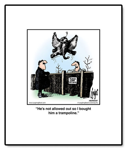 He’s not allowed out so I bought him a trampoline.