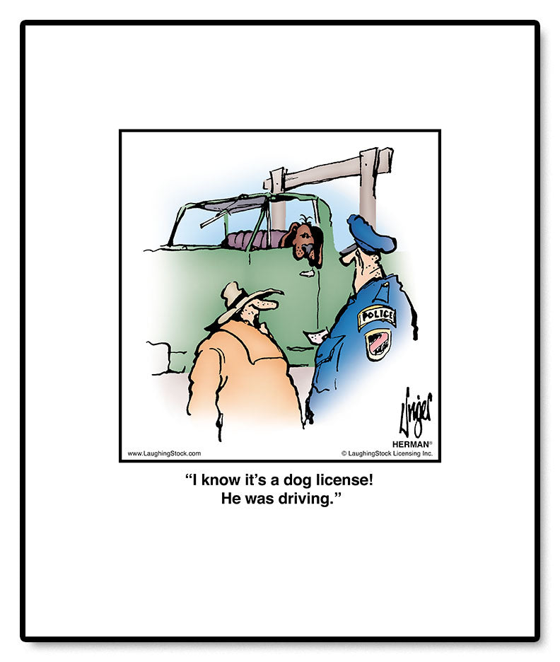 I know it’s a dog license! He was driving.