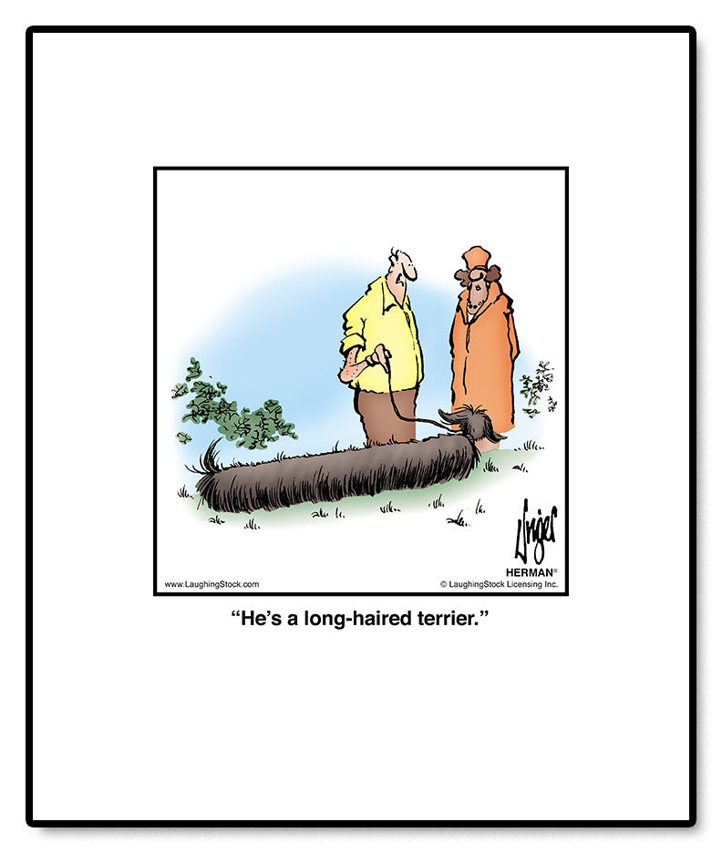 He’s a long-haired terrier.