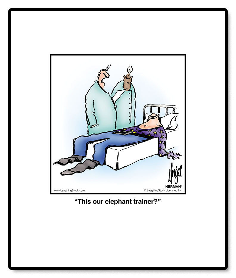 This our elephant trainer?