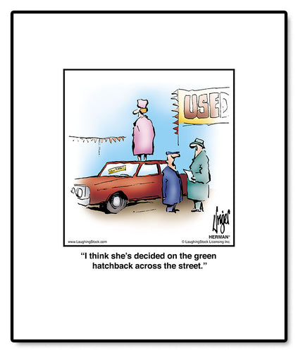 I think she’s decided on the green hatchback across the street.