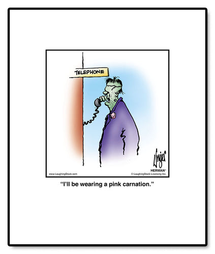 I’ll be wearing a pink carnation.