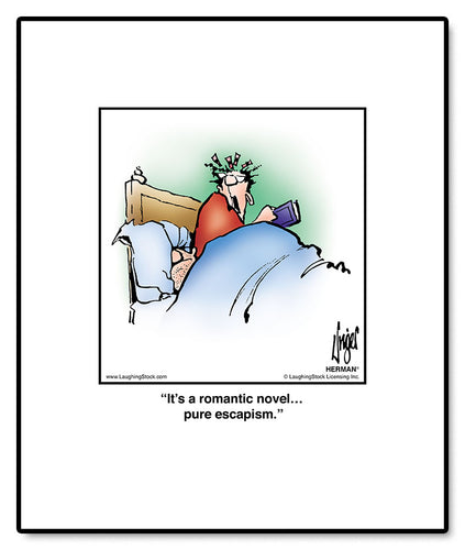 It’s a romantic novel… pure escapism.