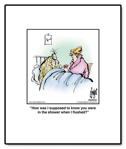 How was I supposed to know you were in the shower when I flushed?