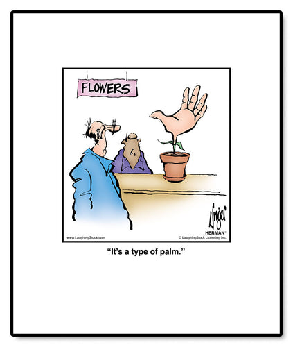 It’s a type of palm.