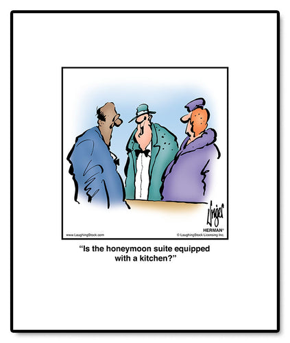 Is the honeymoon suite equipped with a kitchen?