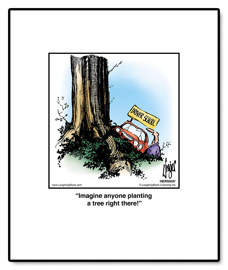 Imagine anyone planting a tree right there!