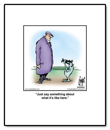 Just say something about what it’s like here.