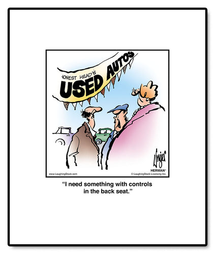 I need something with controls in the back seat.