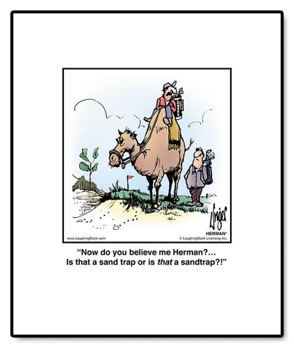 Now do you believe me Herman?… is that a sand-trap or is that a sand-trap?!