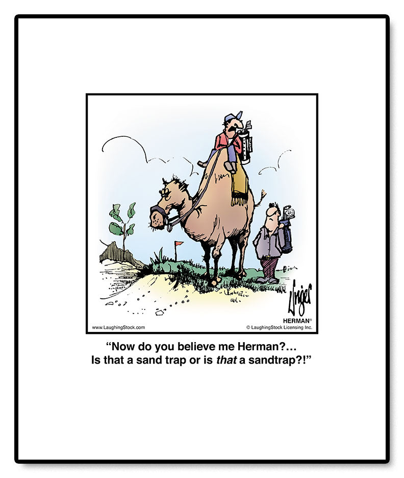 Now do you believe me Herman?… is that a sand-trap or is that a sand-trap?!