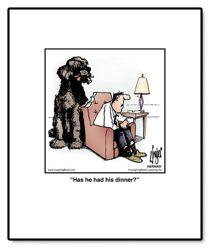 Has he had his dinner?