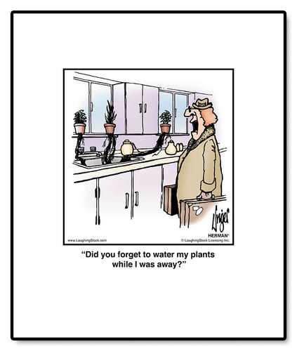 Did you forget to water my plants while I was away?