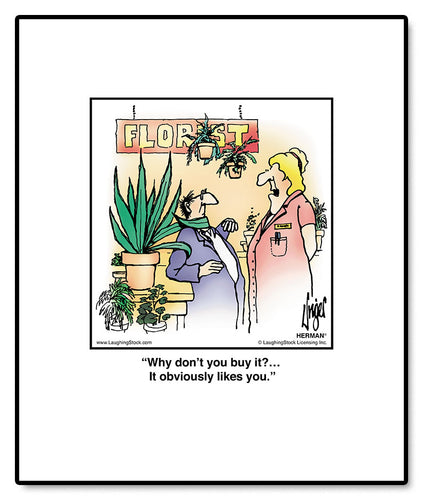 Why don’t you buy it?… It obviously likes you.